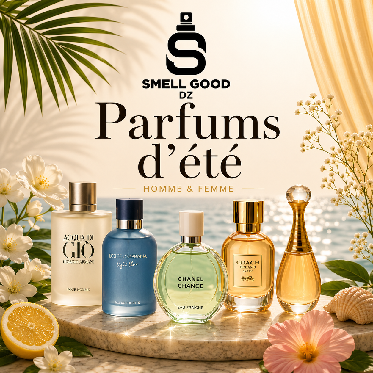 Parfums d'Été ☀️